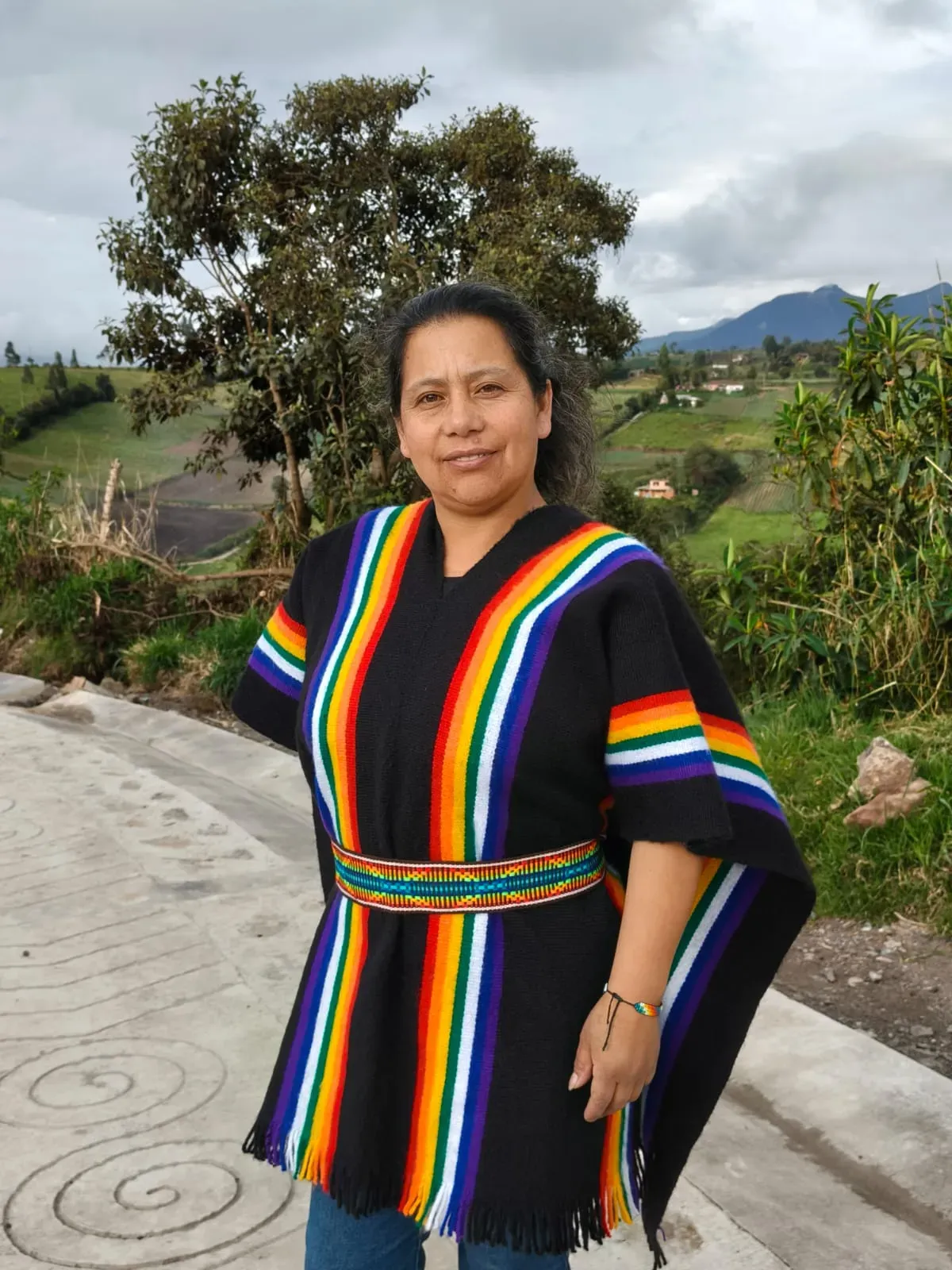 Poncho con franjas de la whipala
